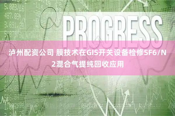 泸州配资公司 膜技术在GIS开关设备检修SF6/N2混合气提纯回收应用