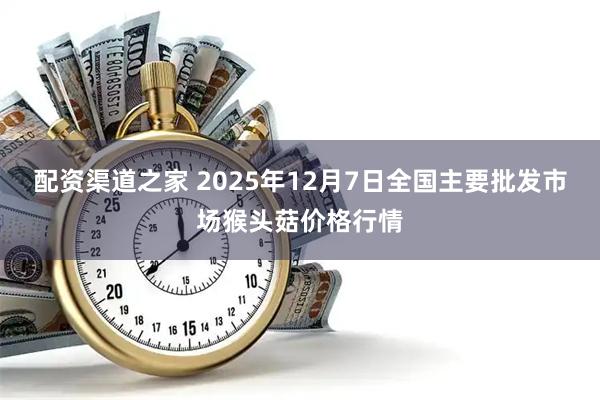 配资渠道之家 2025年12月7日全国主要批发市场猴头菇价格行情